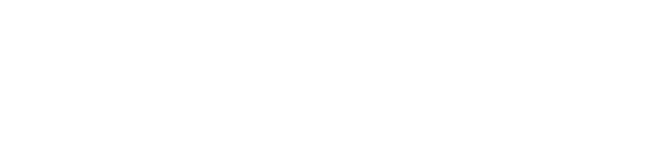 ARCHIRY LOGO